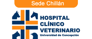 Hospital Clínico Veterinario UdeC Chillán